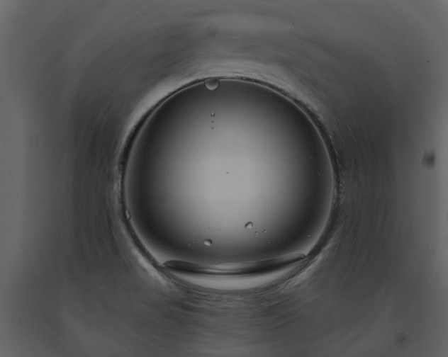 X0000091731517200708241400