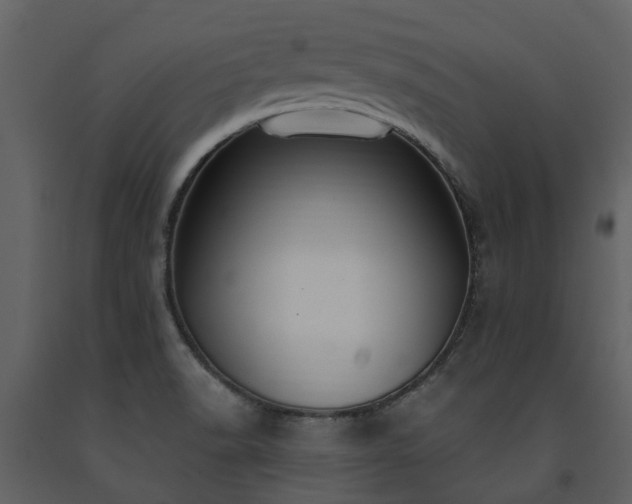 X0000091731518200708241400