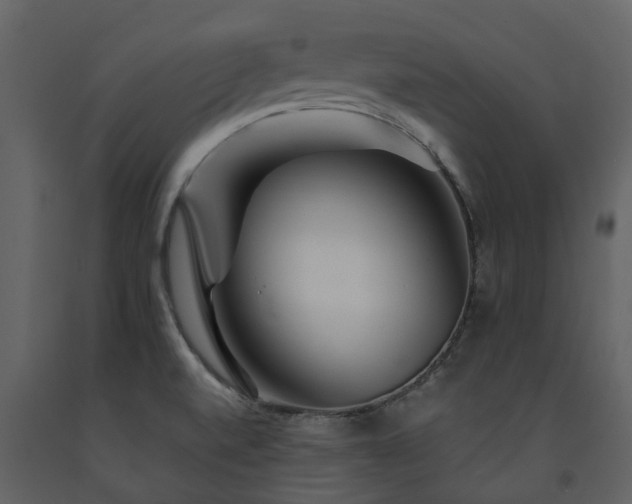 X0000091731520200708241400
