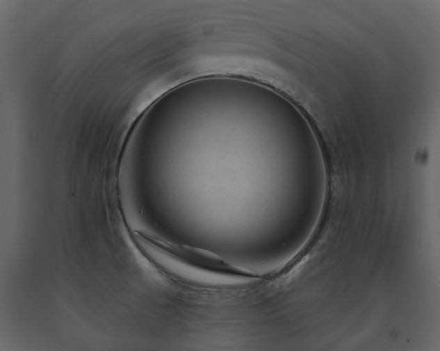 X0000091731521200708241400