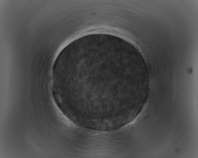 X0000091731522200708241400