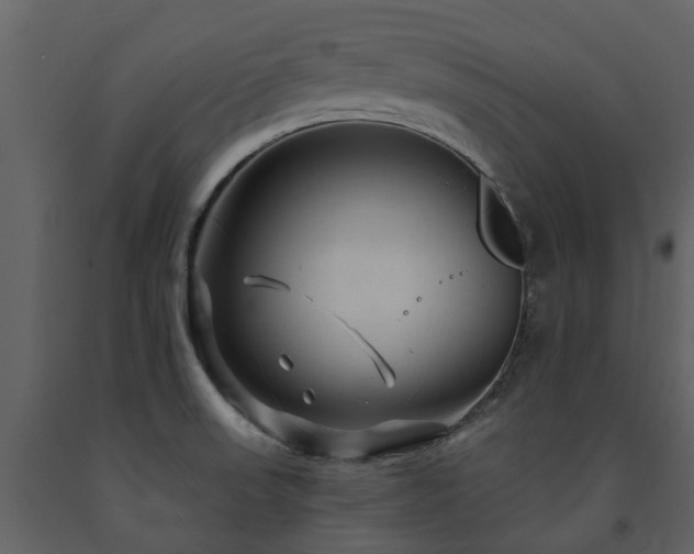 X0000091731523200708241400