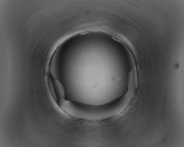 X0000091731528200708241401