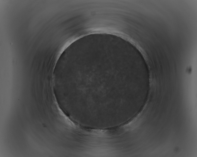 X0000091731529200708241401