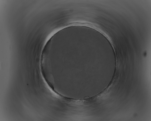 X0000091731533200708241401