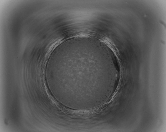 X0000091730001200708311213