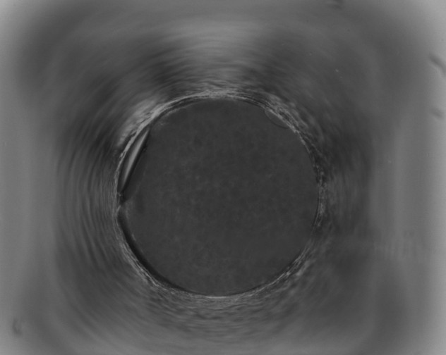 X0000091730002200708311213