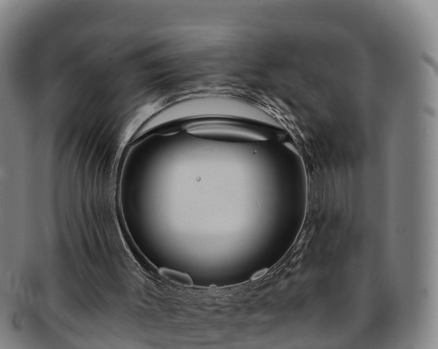 X0000091730003200708311213