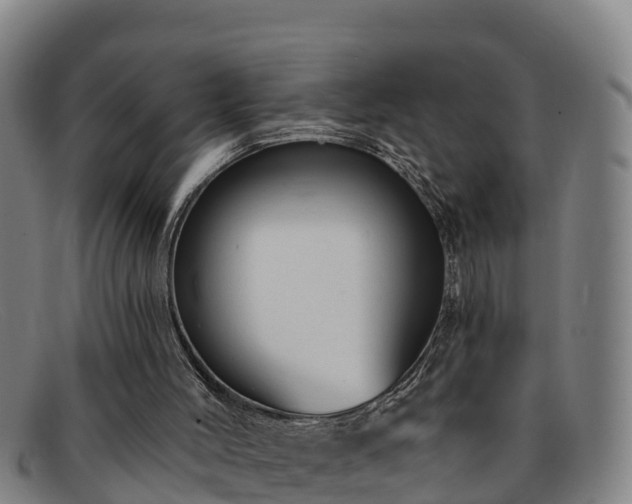 X0000091730004200708311213