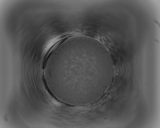 X0000091730005200708311213