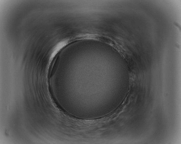 X0000091730006200708311213