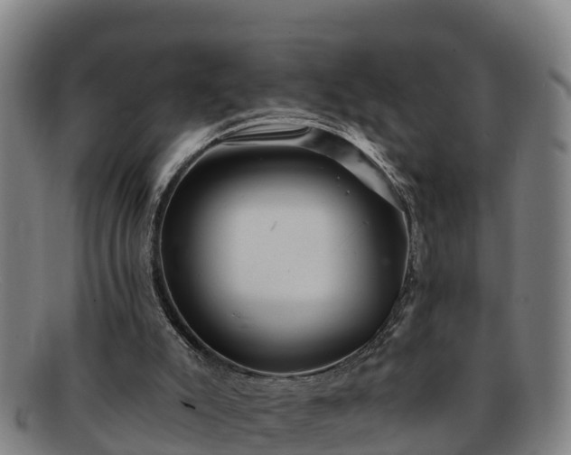 X0000091730007200708311213