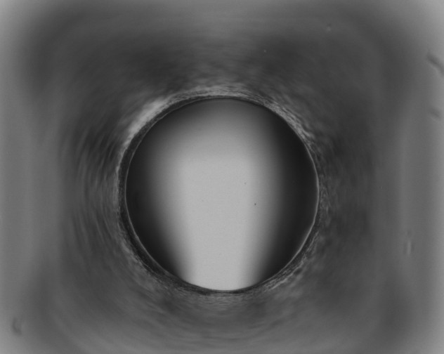 X0000091730008200708311213