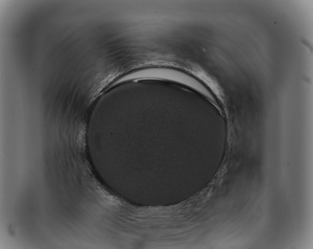 X0000091730009200708311212