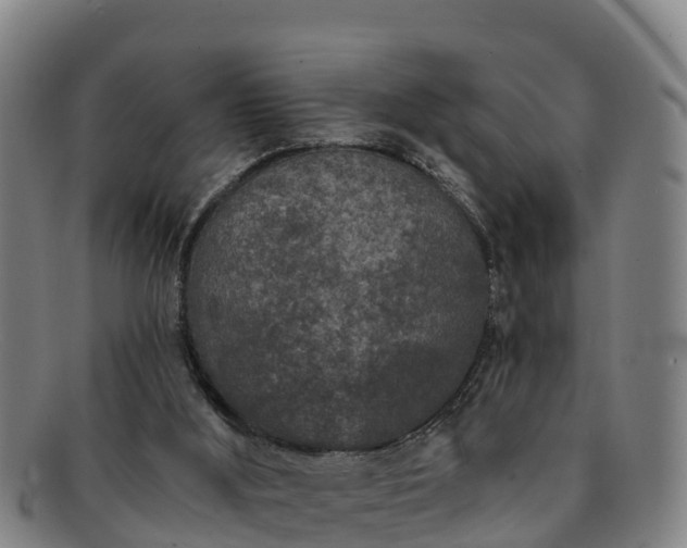 X0000091730012200708311212