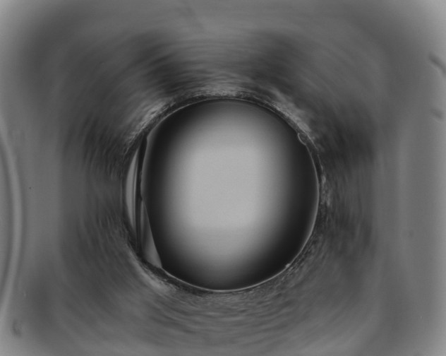 X0000091730013200708311212