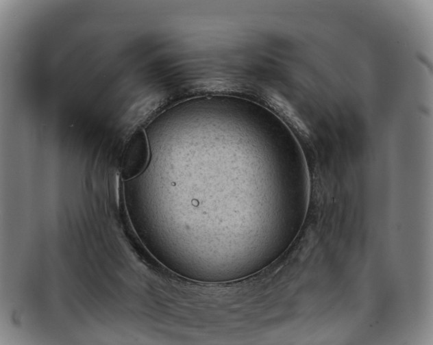 X0000091730014200708311212