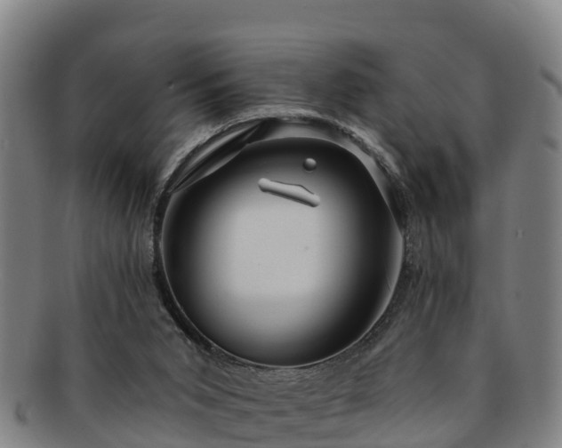 X0000091730015200708311212