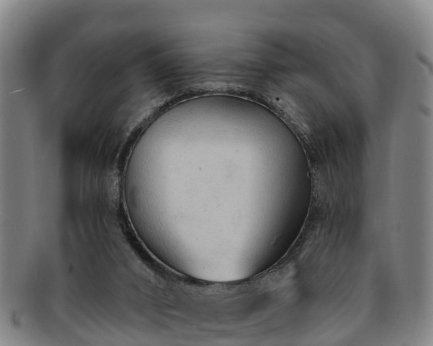 X0000091730016200708311212