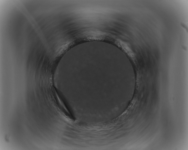 X0000091730017200708311212