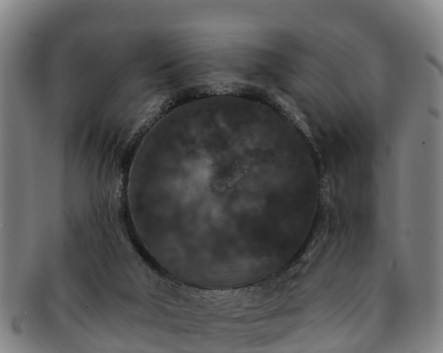 X0000091730018200708311212