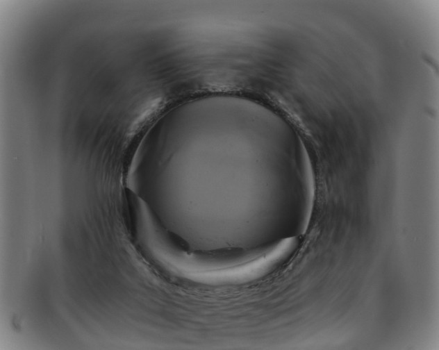 X0000091730019200708311212