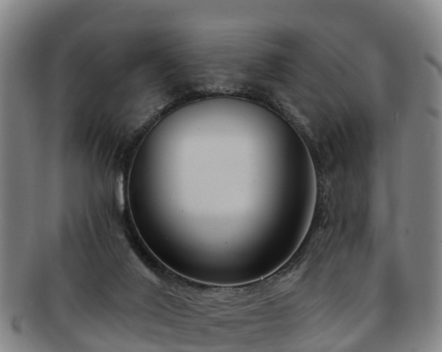 X0000091730020200708311212