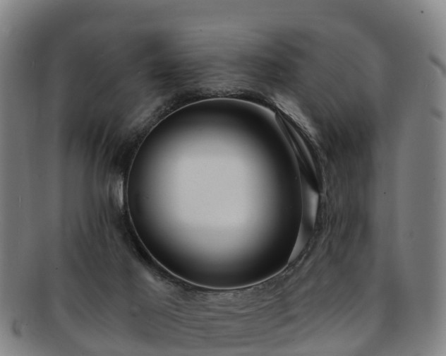 X0000091730021200708311212