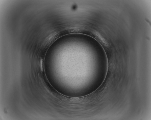 X0000091730022200708311212