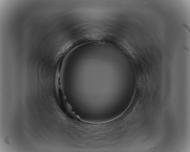 X0000091730023200708311212