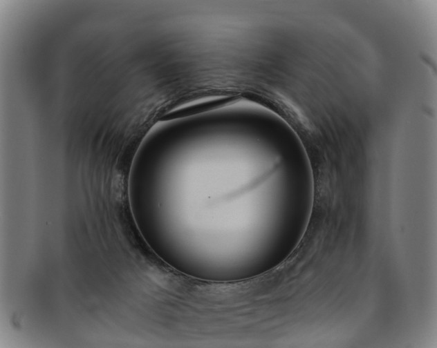 X0000091730025200708311212