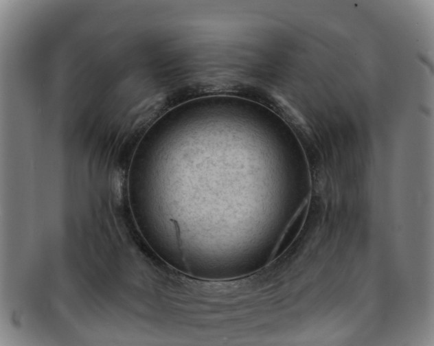 X0000091730026200708311212