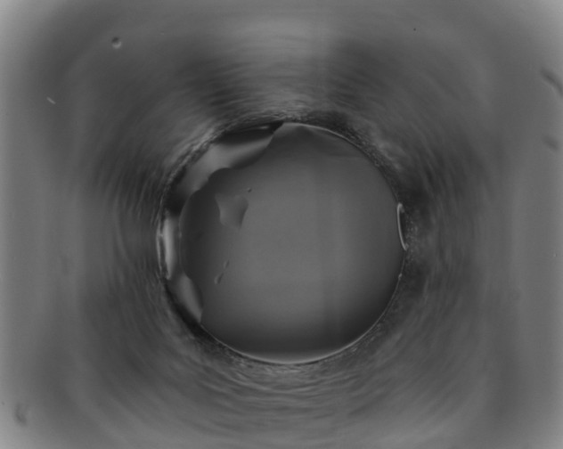 X0000091730027200708311212