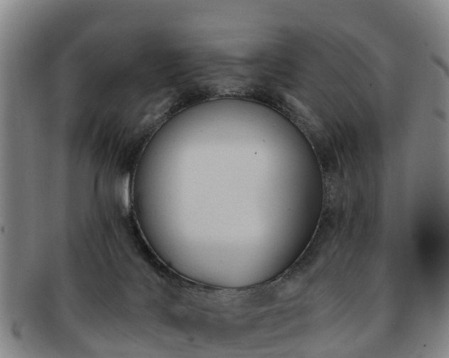 X0000091730028200708311212