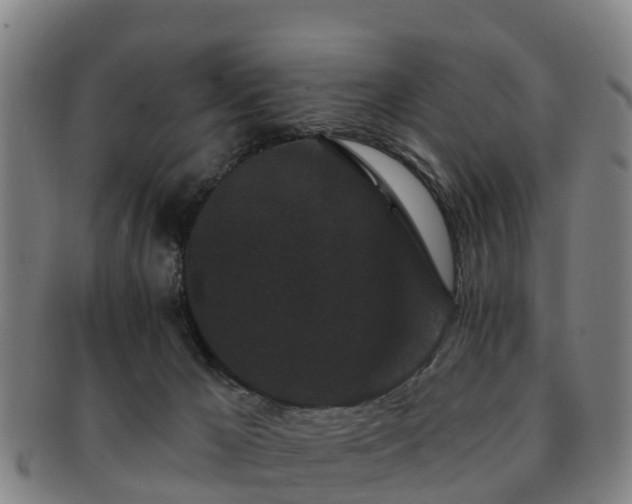 X0000091730029200708311212