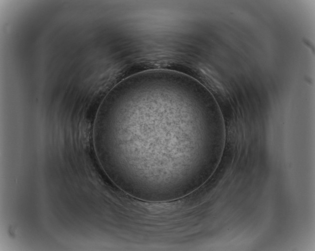 X0000091730030200708311212