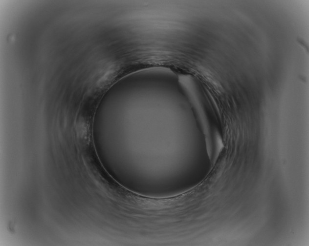 X0000091730031200708311212