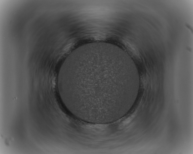 X0000091730032200708311212