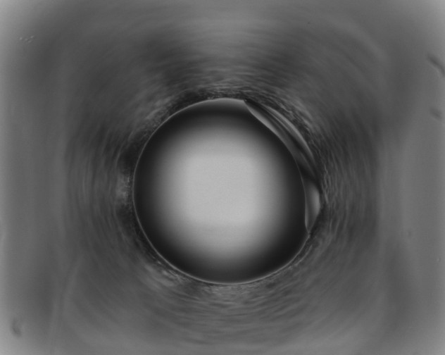 X0000091730033200708311212