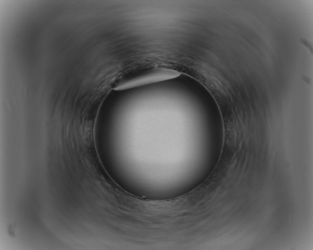 X0000091730034200708311212