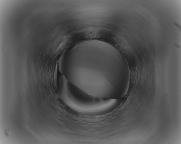 X0000091730035200708311212