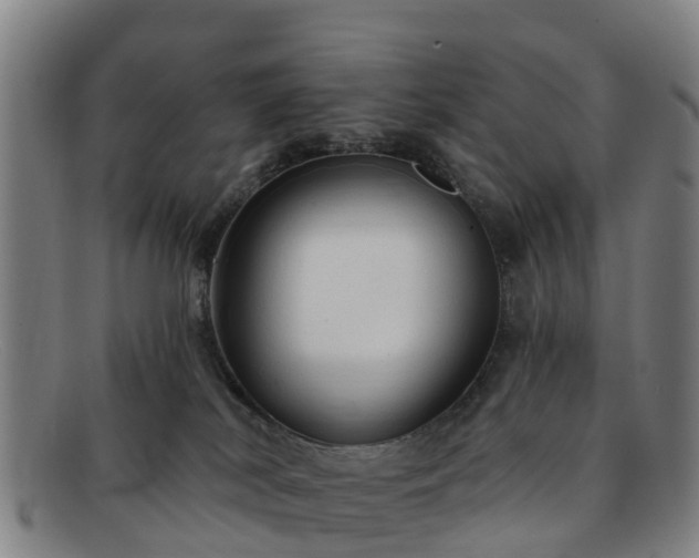 X0000091730038200708311212