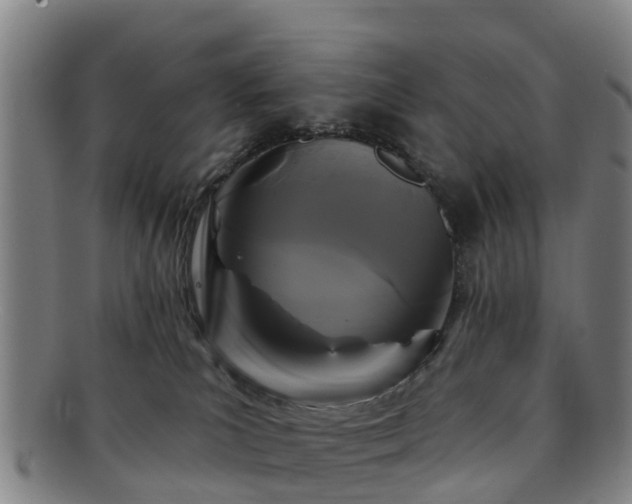 X0000091730039200708311212