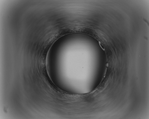 X0000091730040200708311212