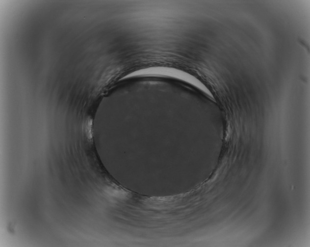 X0000091730041200708311212