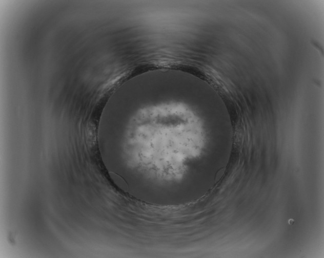 X0000091730043200708311212