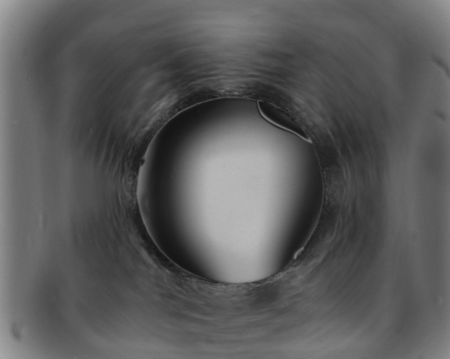 X0000091730044200708311212