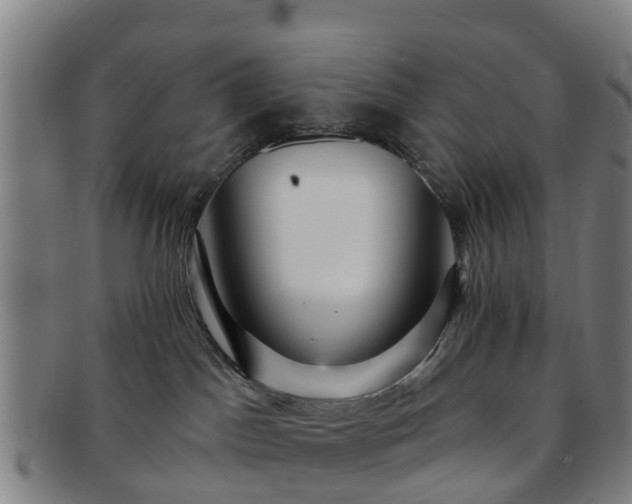 X0000091730045200708311212