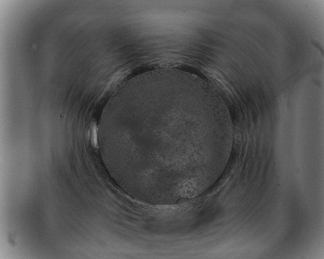 X0000091730046200708311212