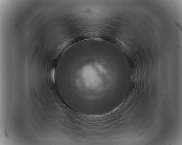 X0000091730047200708311212